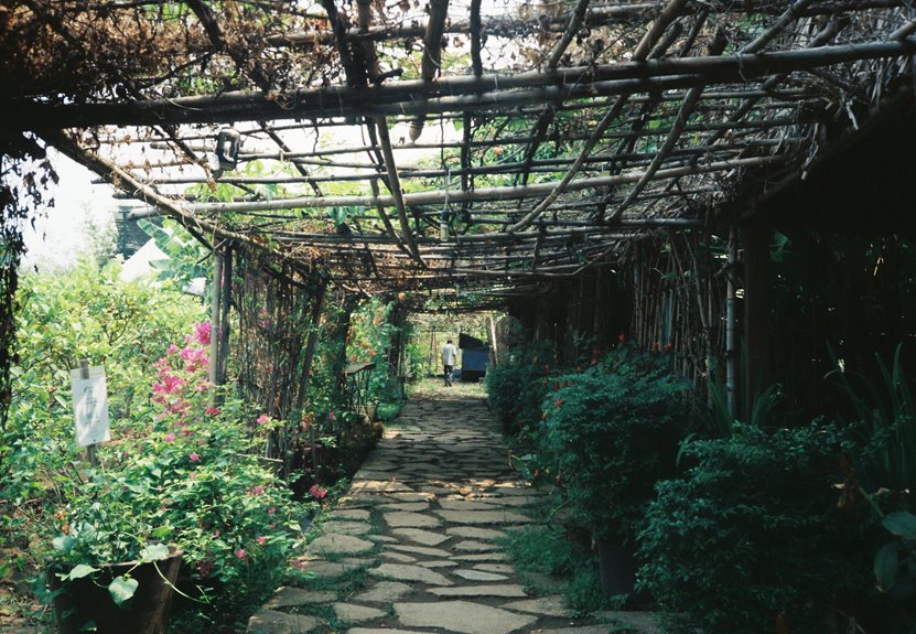 bamboo trellis construction steps
