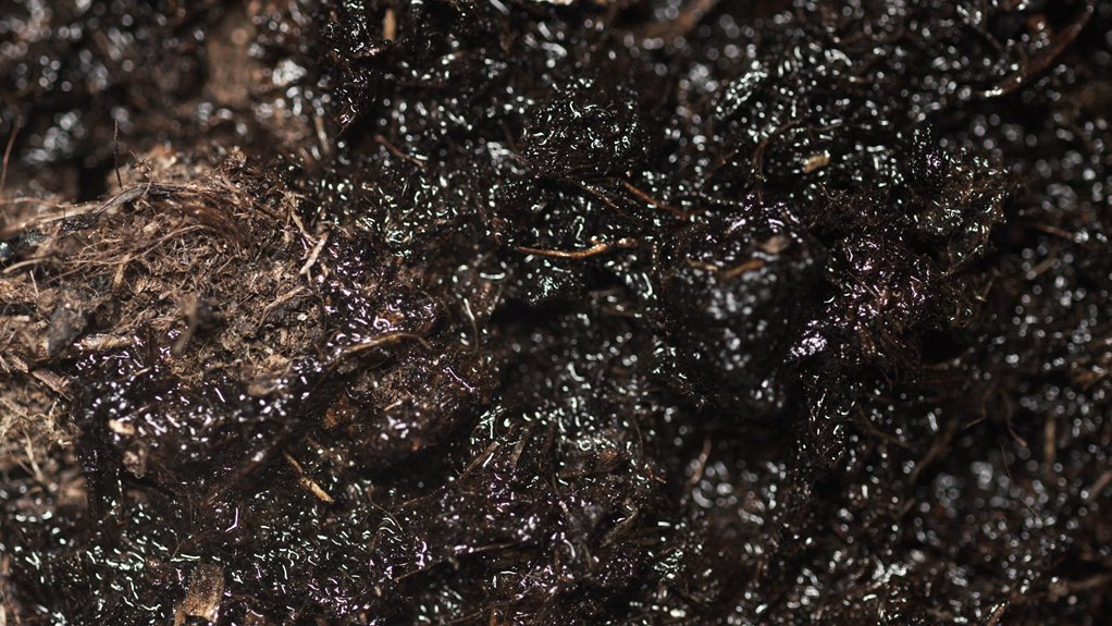best soils for garden beds