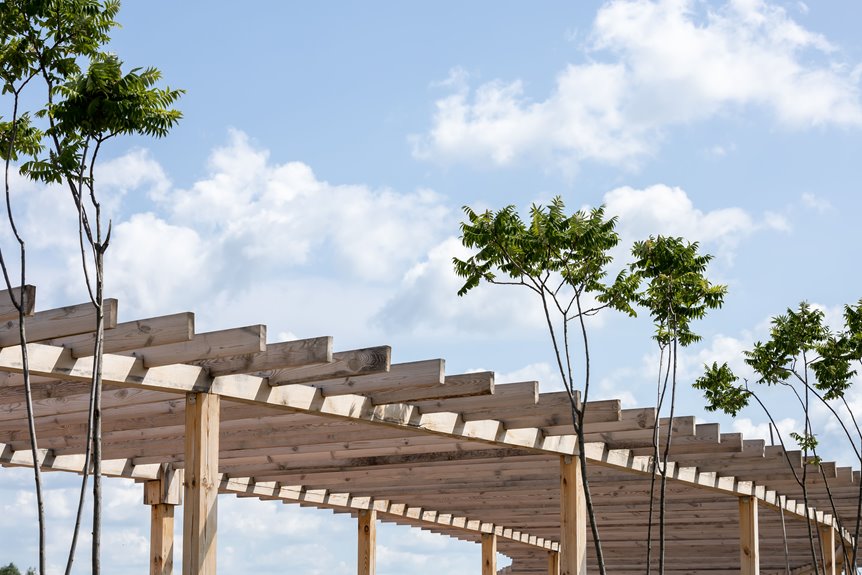 building a beginner pergola