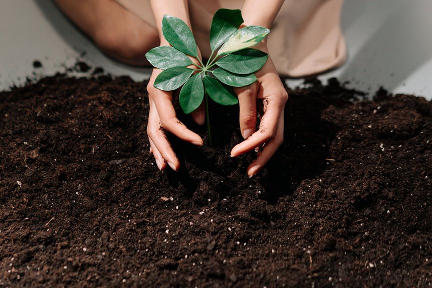 garden soil vs topsoil differences