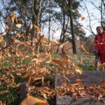 storing backpack leaf blower tips